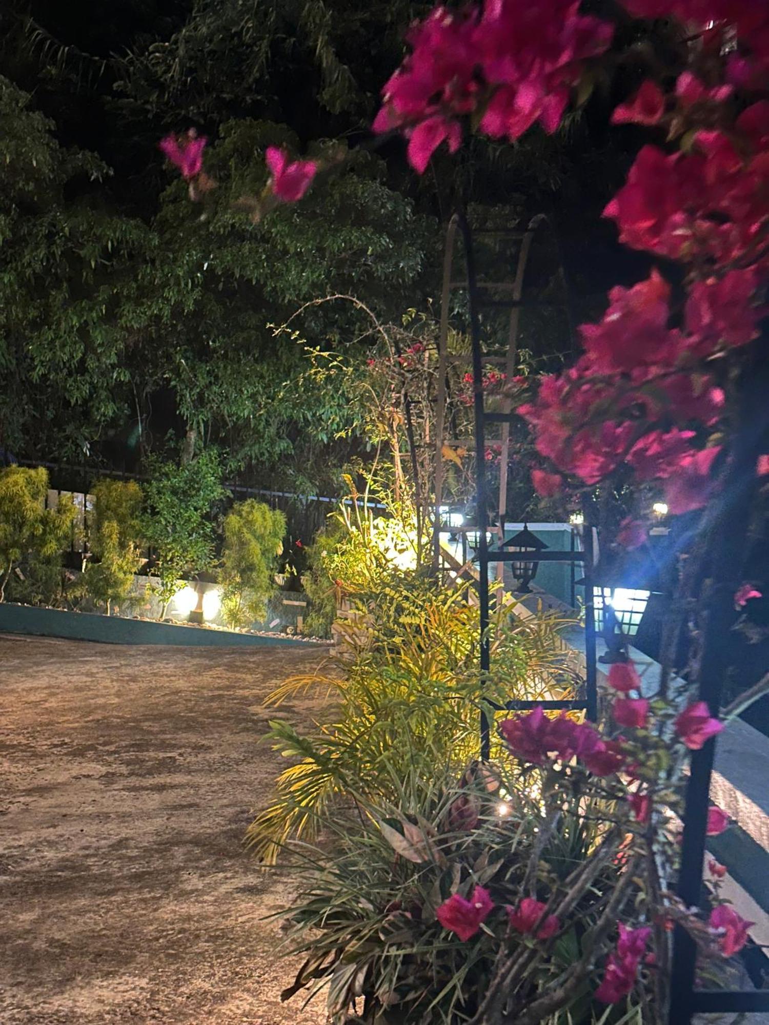 Abc Guest Inn & Restaurant Haputale Εξωτερικό φωτογραφία
